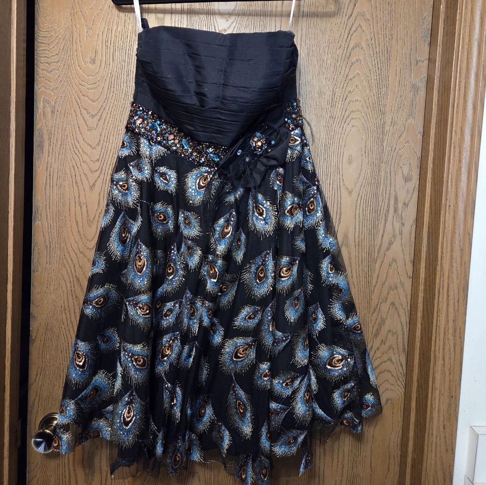 Tony Bowls Elegant Black Evening Gown.